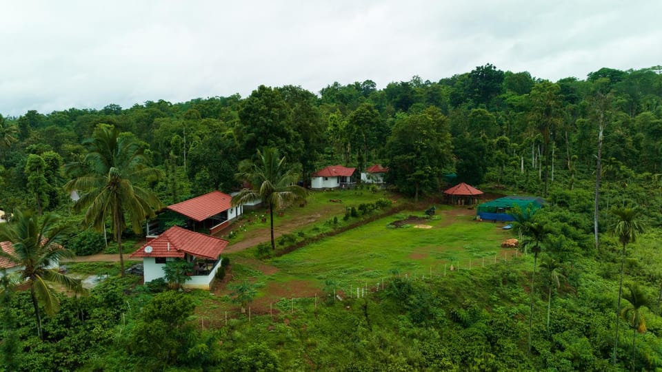 Property building, Day, Natural landscape, Bird's eye view, Garden, Garden view