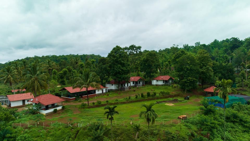 Property building, Day, Natural landscape, Garden, Garden view