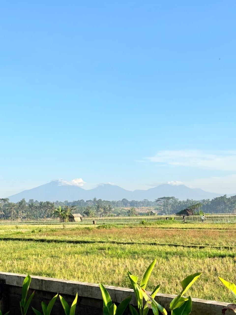 View (from property/room)