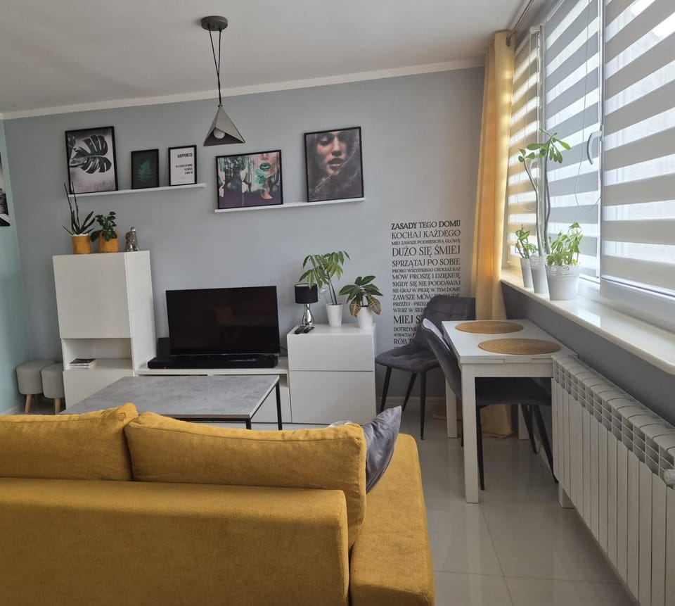 Communal lounge/ TV room, TV and multimedia, Seating area, Evening entertainment