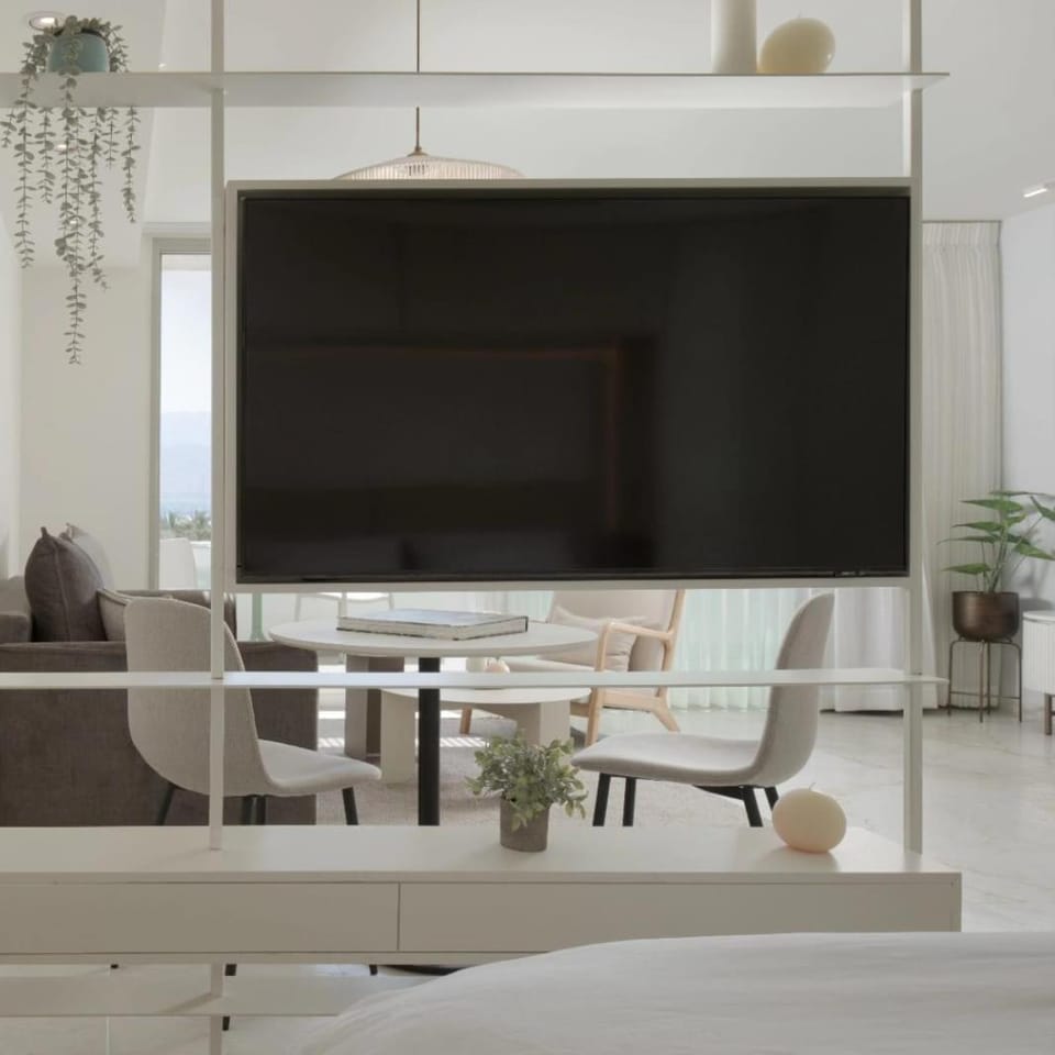 TV and multimedia