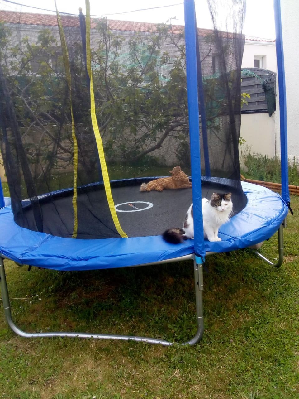 chambre d'hôte La Varenne Bed and Breakfast in Oudon