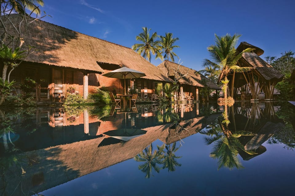 Day, Natural landscape, Garden, Garden view, Pool view, Swimming pool, Swimming pool
