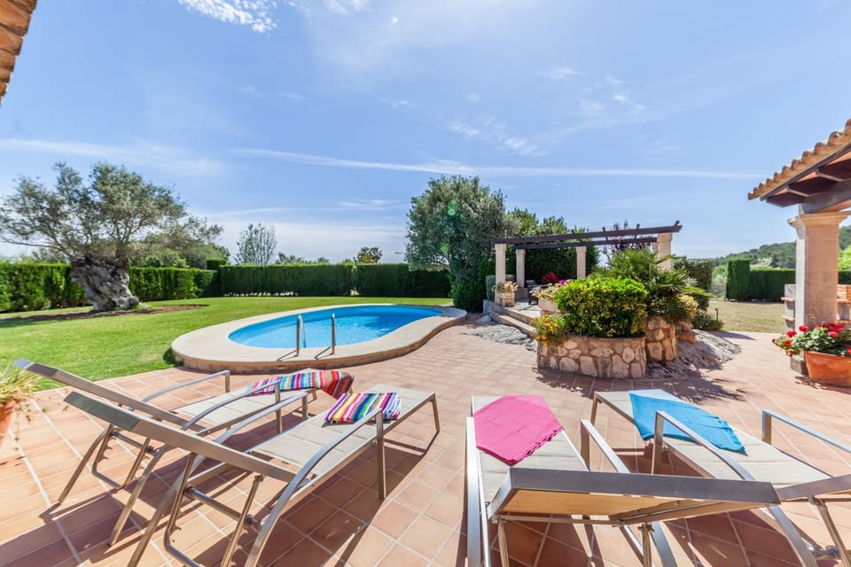 Garden, Swimming pool, sunbed