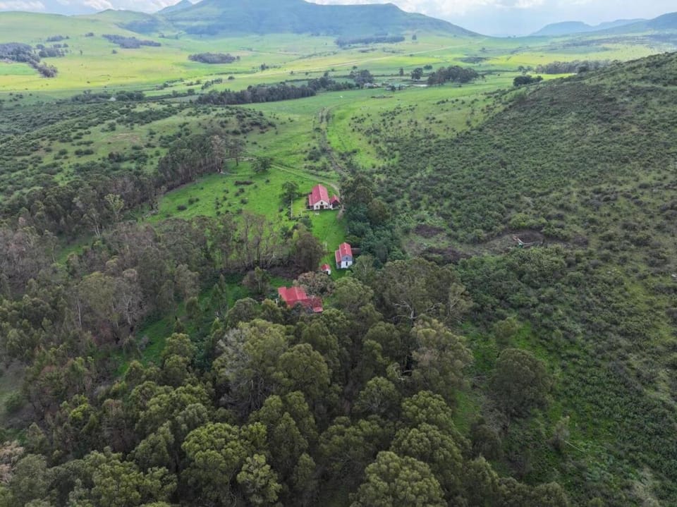 Natural landscape