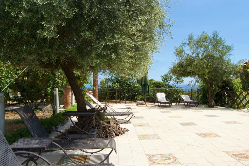 Spring, Natural landscape, Garden, Garden view, sunbed