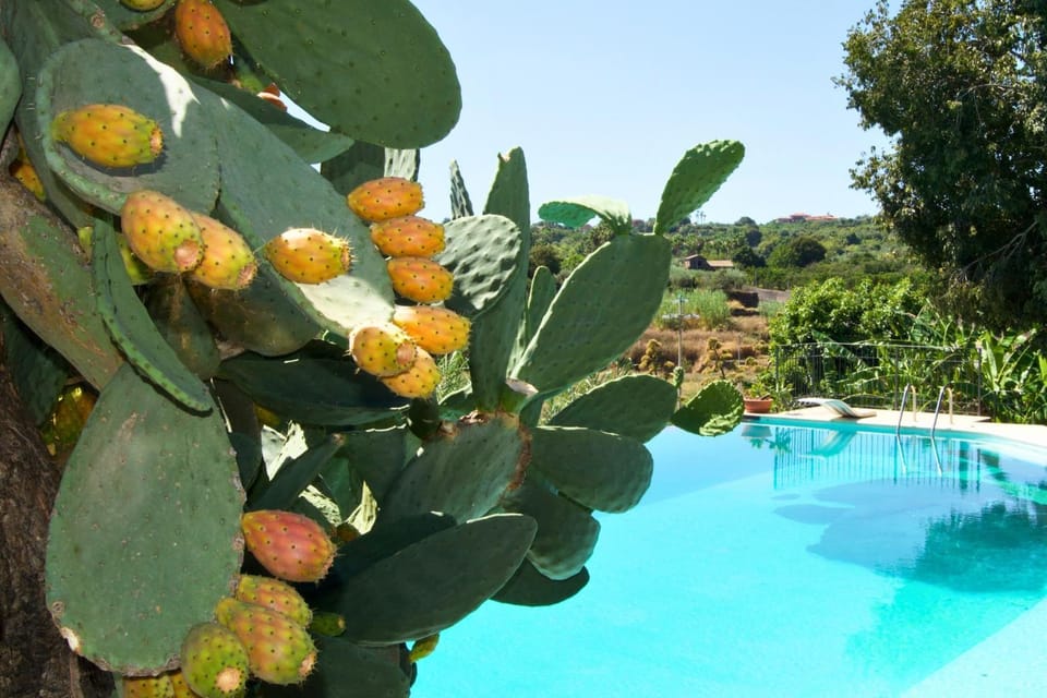 Garden view, Pool view, Swimming pool