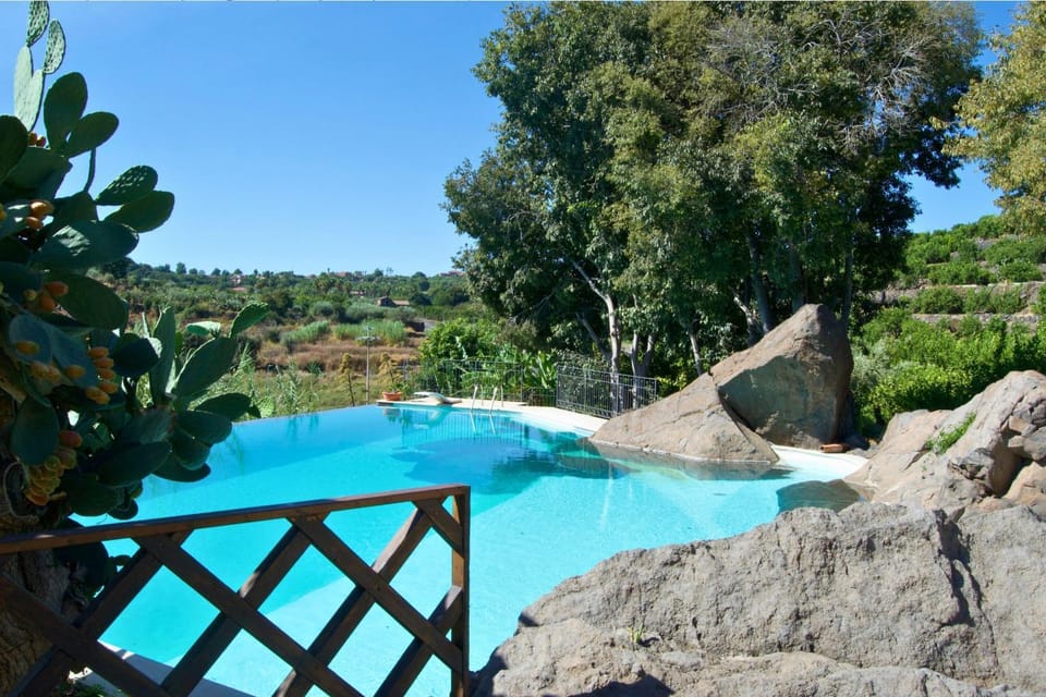 Garden, Pool view, Swimming pool