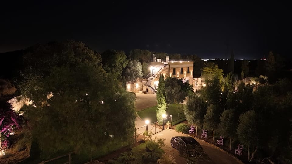 Night, Garden, Garden view
