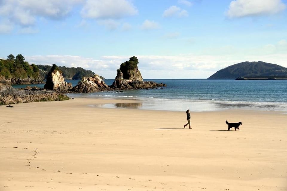 Winahost Ático Viveiro Apartment in Viveiro