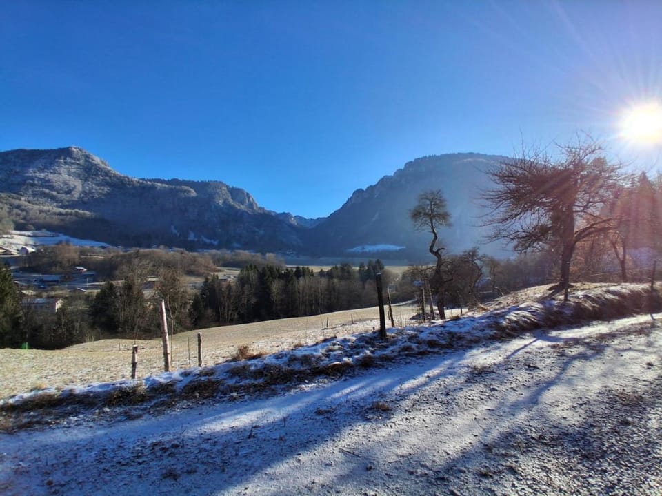 Chalet des Alpes Apartment in Haute-Savoie