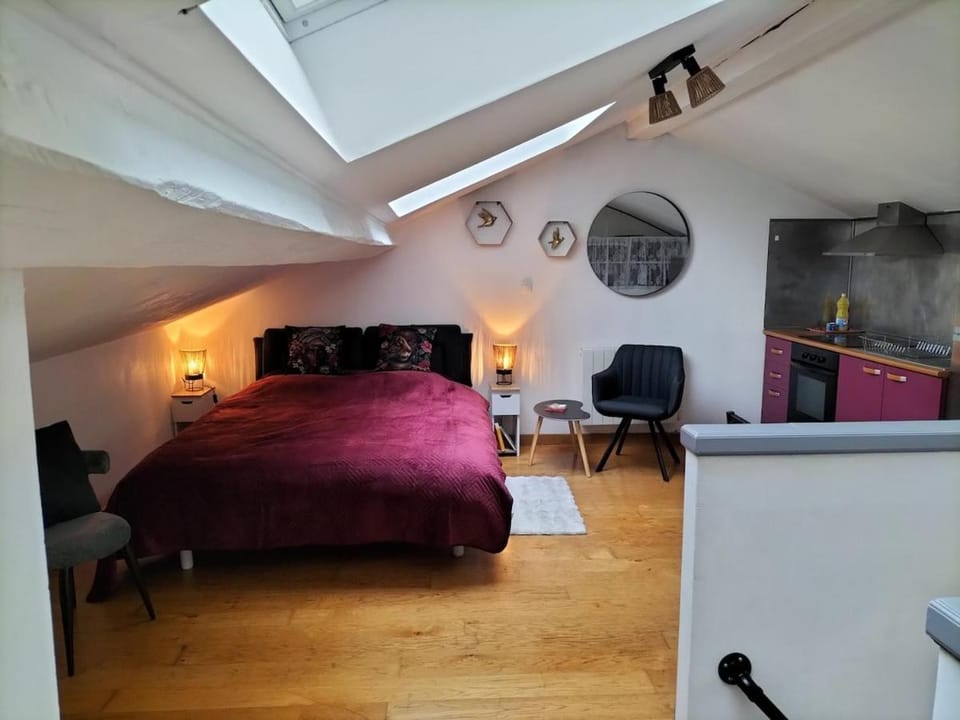Studio Nancy Centre Apartment in Nancy