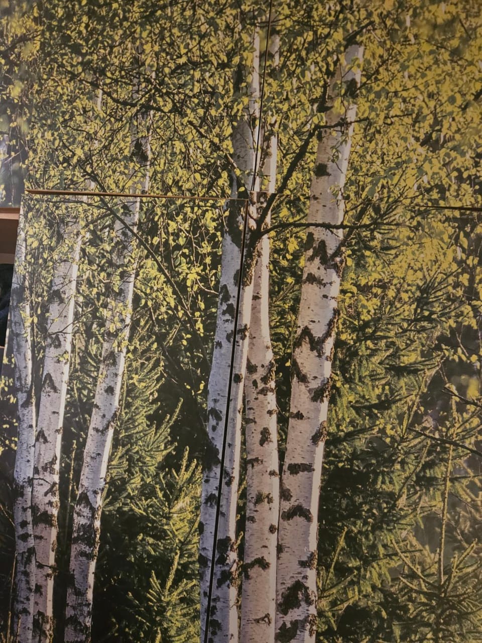 Noclegi u Fergusona Bed and Breakfast in Lithuania