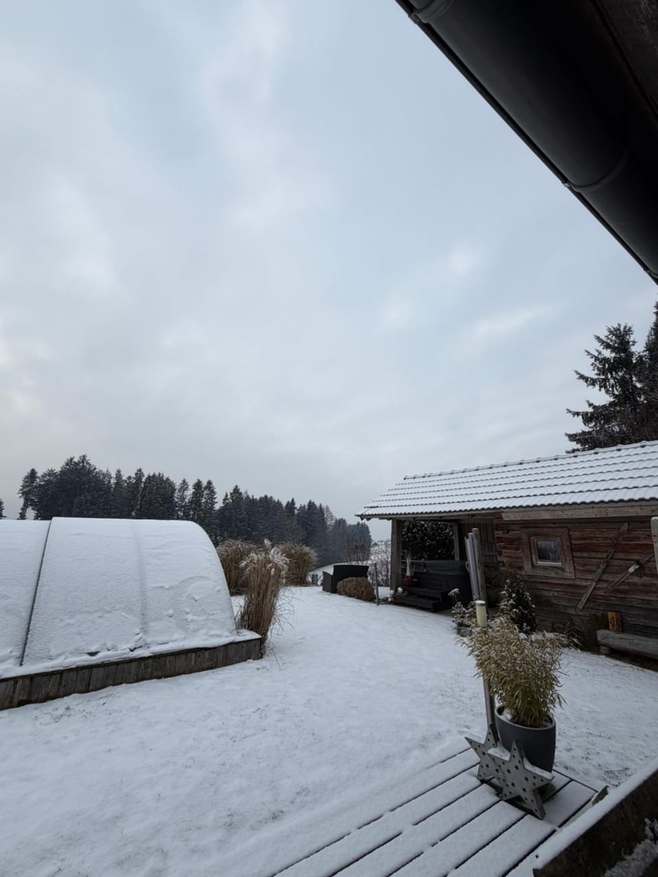 Property building, Garden, Garden view