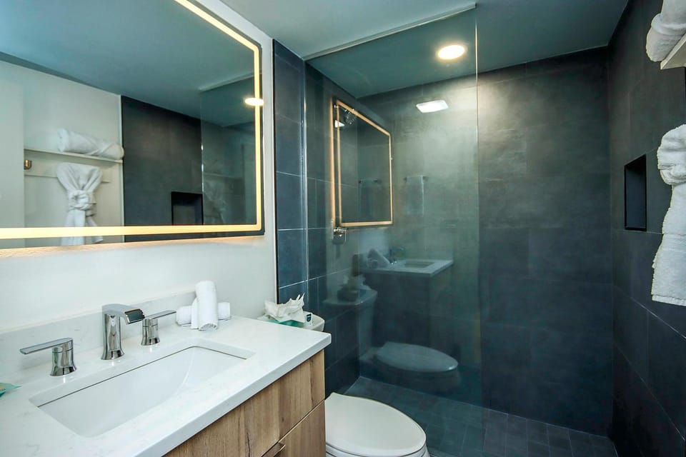 Shower, Toilet, Bathroom, towels