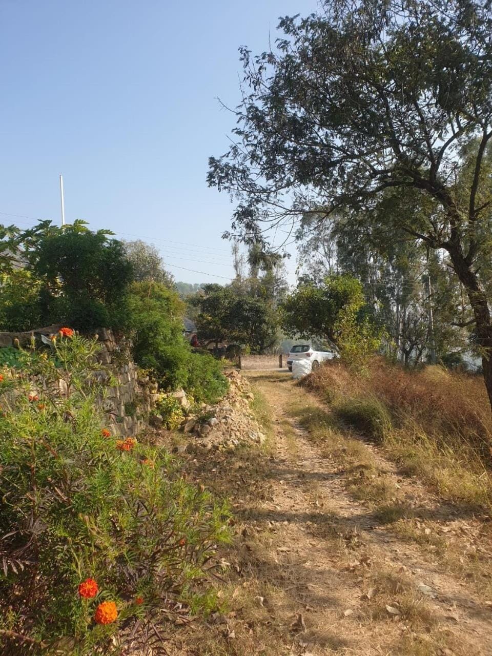 Entire Private Duplex 4 Bedroom Home Villa in Himachal Pradesh