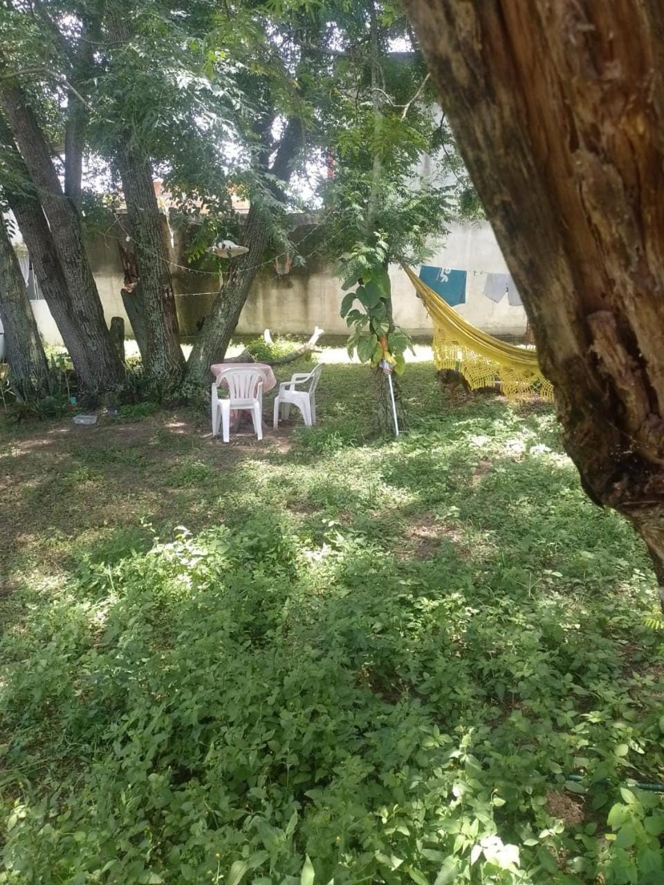 Camping Rio Vermelho Campground/ 
RV Resort in Florianopolis