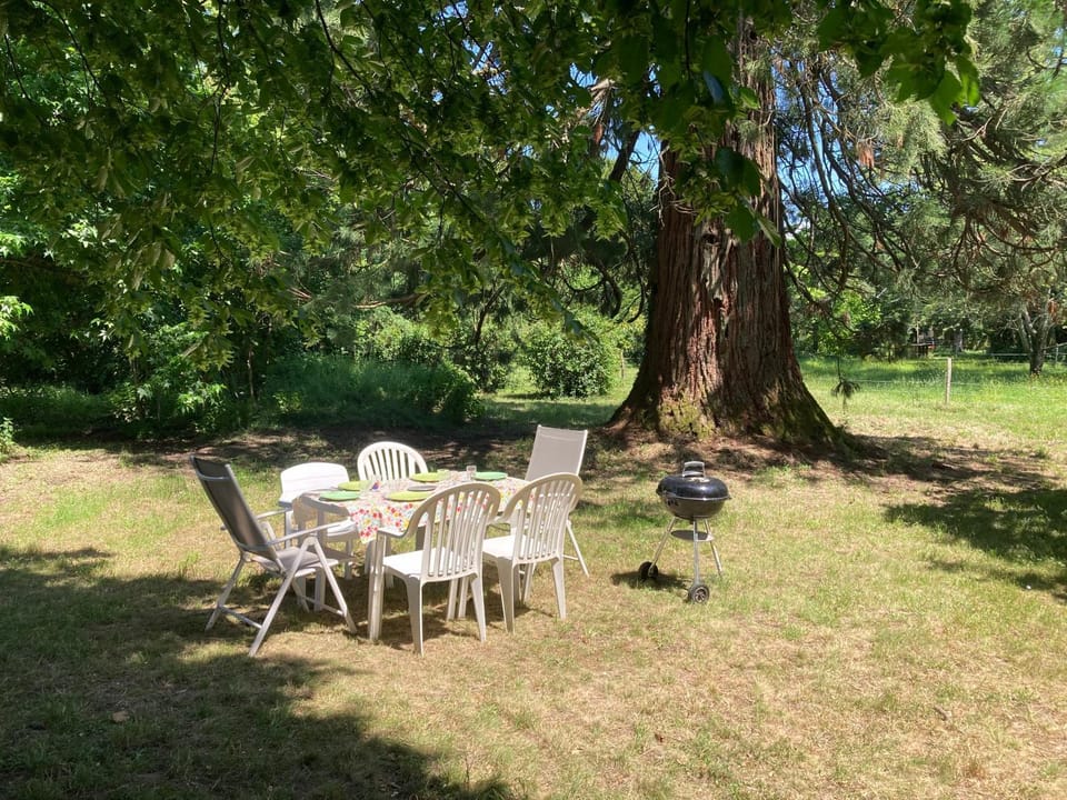 Country house! Maison de campagne! House in Nouvelle-Aquitaine