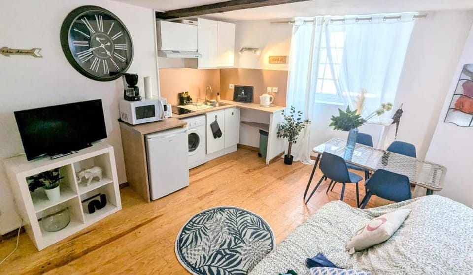 Cosy Planta - 2 lits - Hyper Centre & Clémenceau - 1 parking sous terrain Apartment in Pau