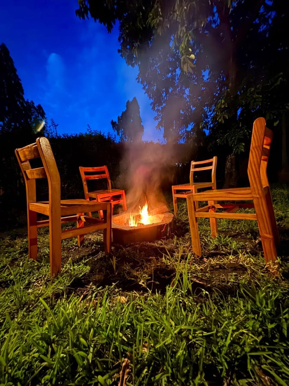 Garden, fireplace