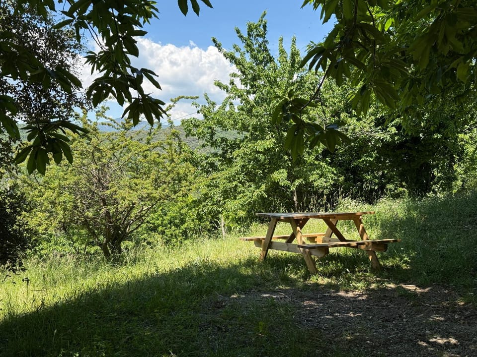 Spring, Day, Natural landscape, Garden, Garden view