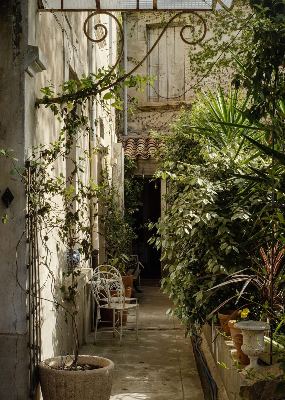 Garden