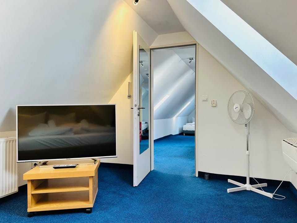 TV and multimedia
