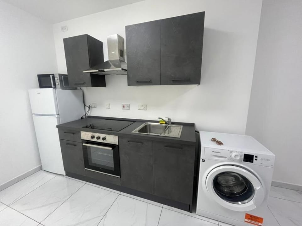Kitchen or kitchenette, oven, washing machine