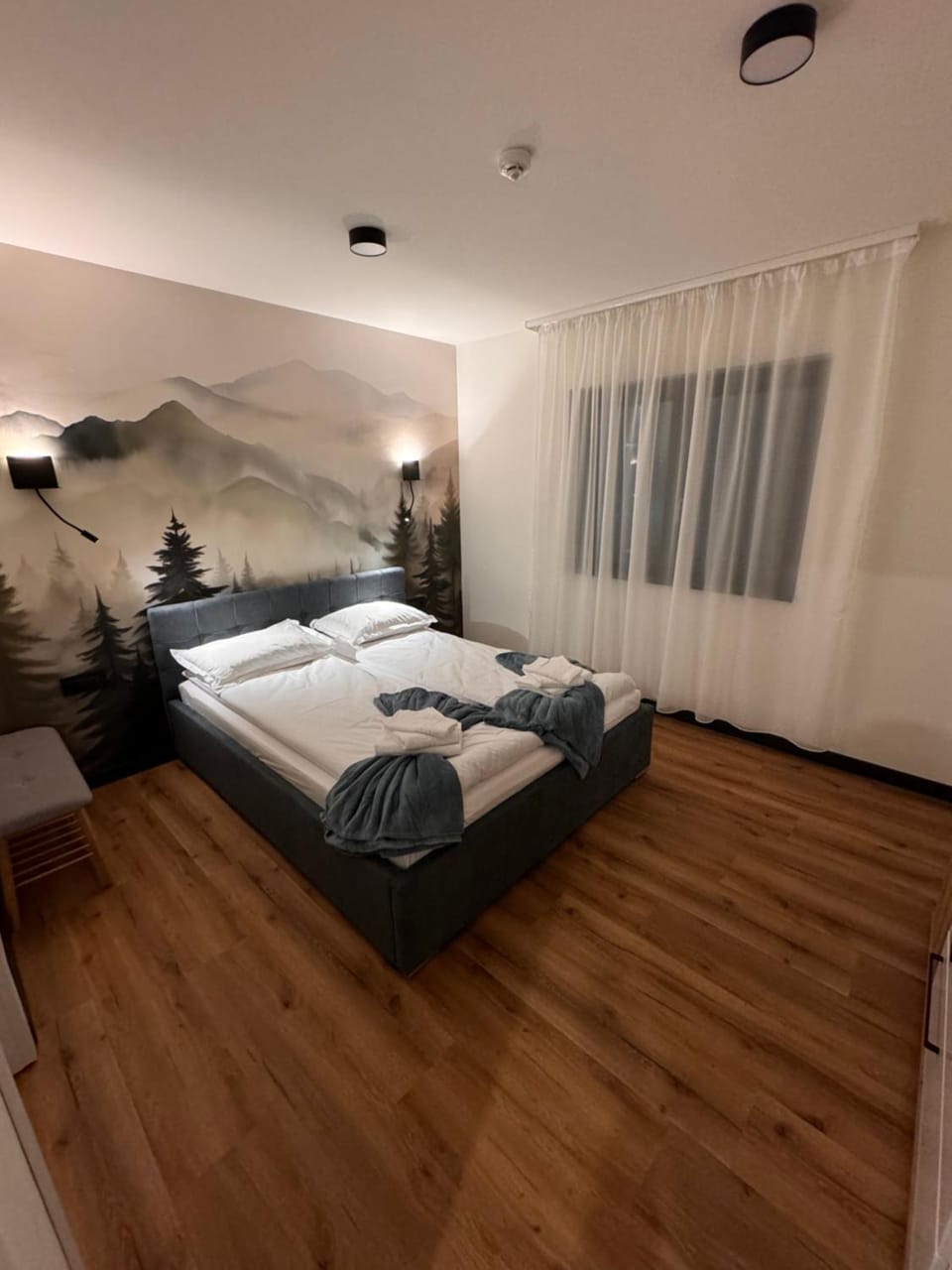 Photo of the whole room