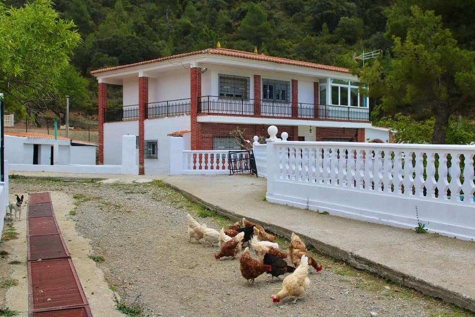 Casa Principal Finca Mas el Bravo Chalet in Valencian Community