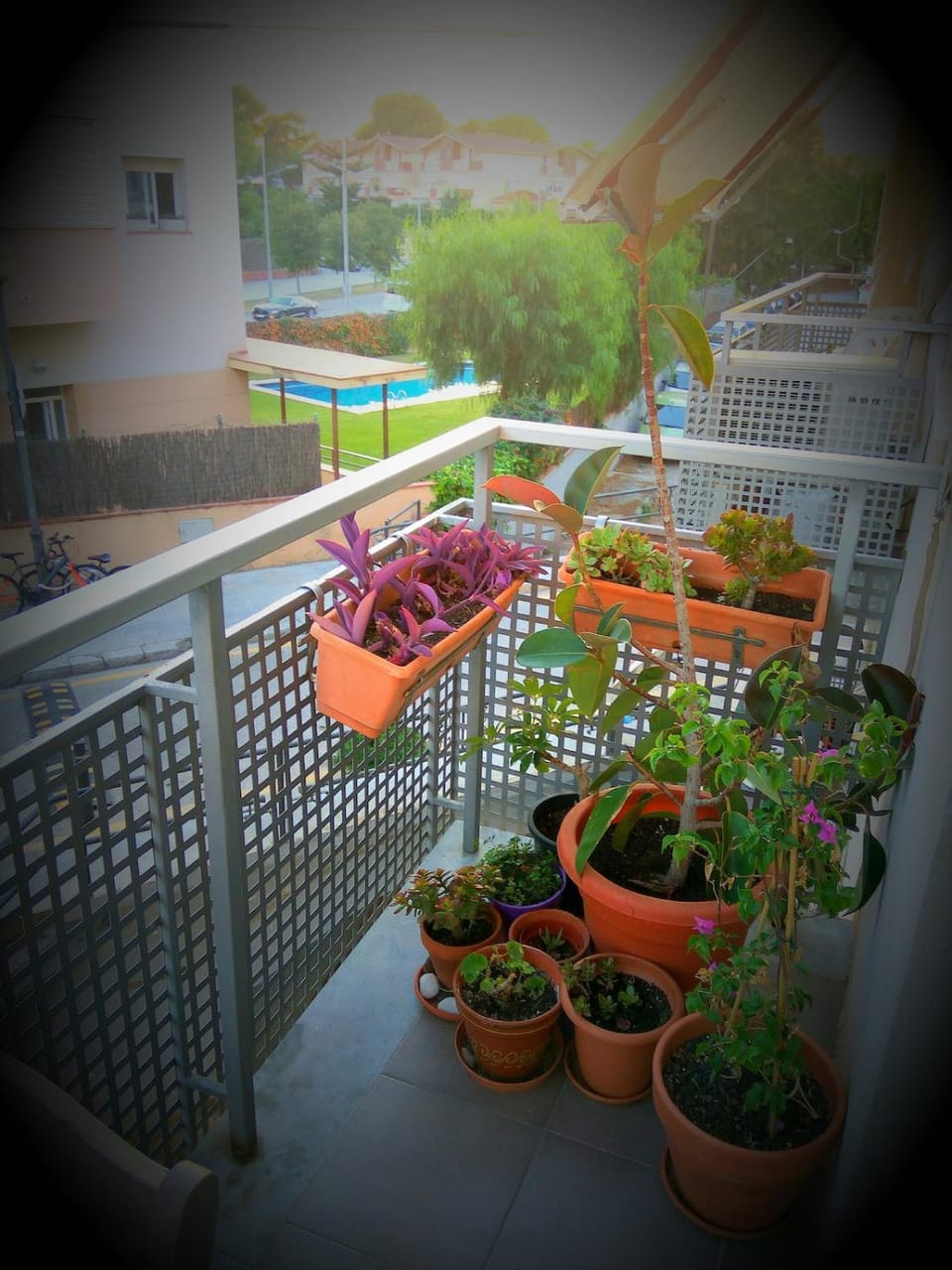 View (from property/room), Balcony/Terrace