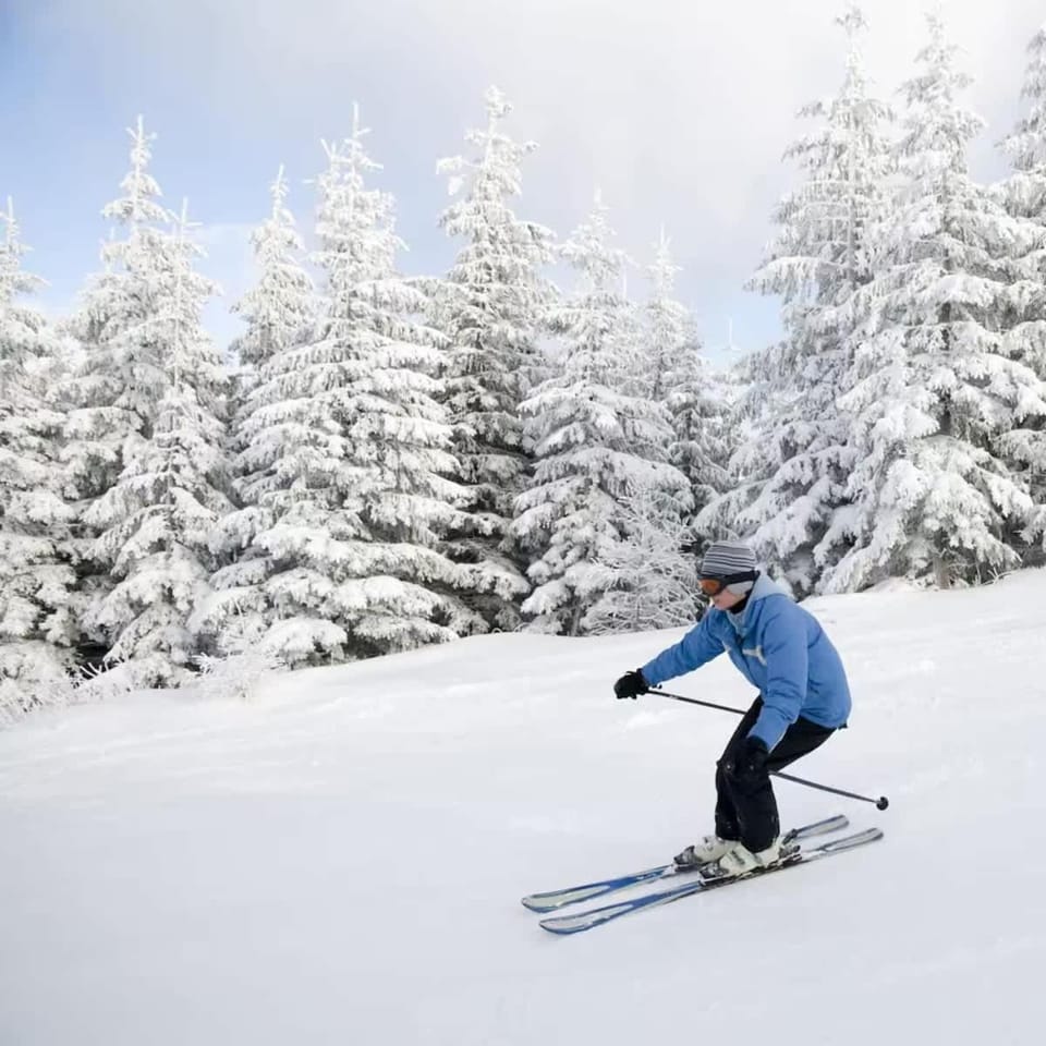 Your Ski-In and Ski-Out Wintergreen Escape House in Massies Mill