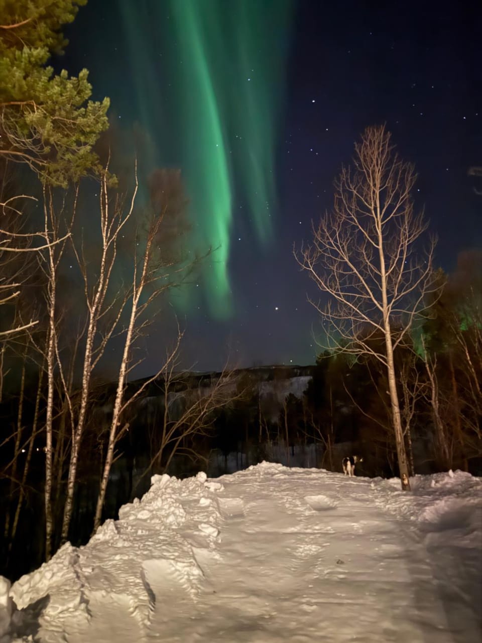 Koselig og sentrumsnær leilighet på Setermoen Apartment in Norrbotten County, Sweden