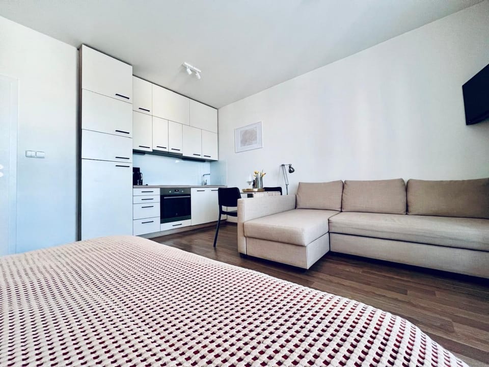 Bed, Kitchen or kitchenette, Living room, Photo of the whole room, Seating area, Bedroom, oven