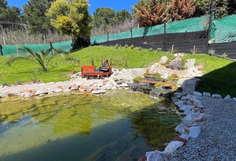 Natural landscape, Garden view