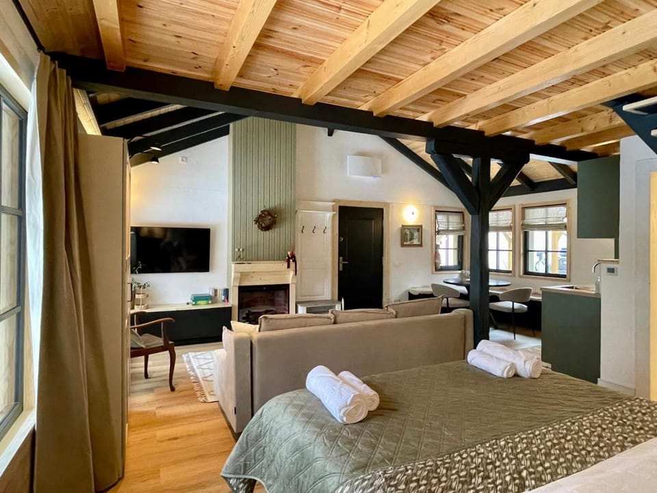 Bed, TV and multimedia, fireplace