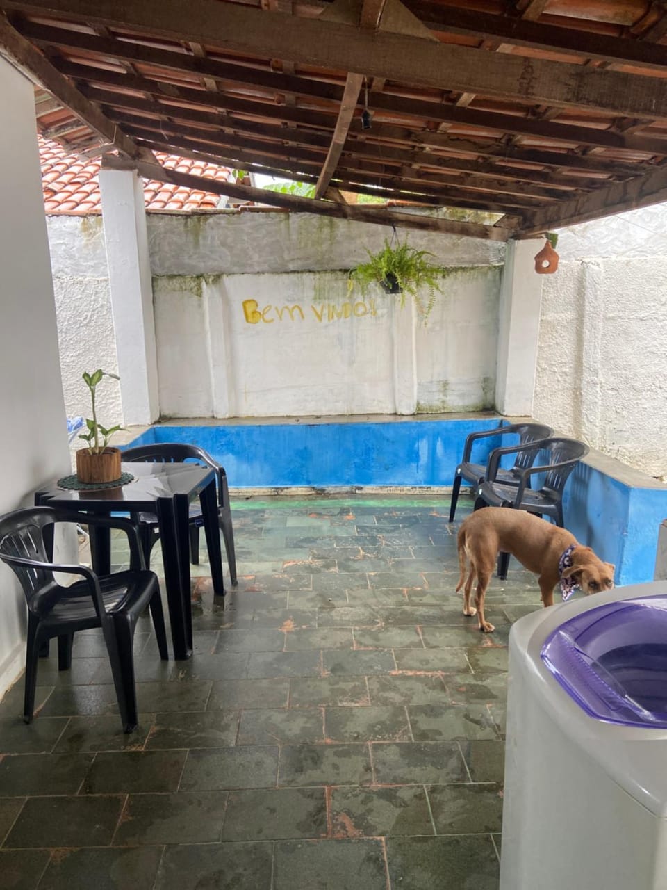 Menino do Rio House in Pirenópolis