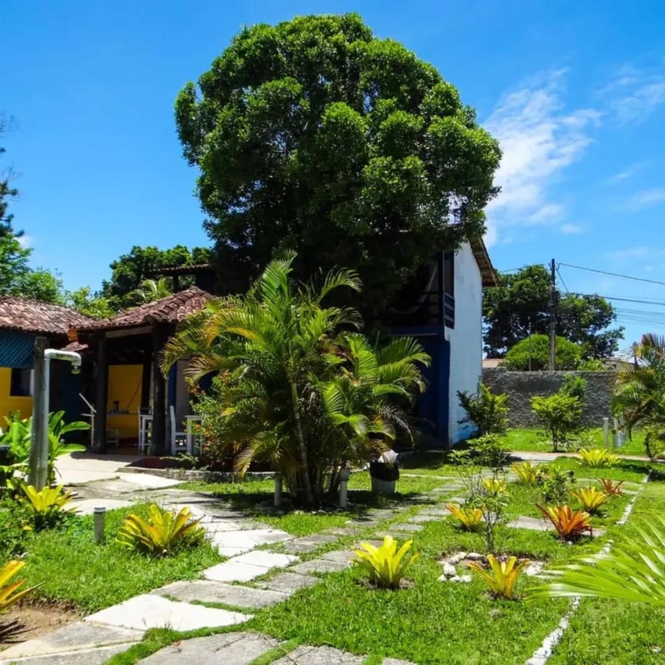 Spring, Natural landscape, Garden, Garden view