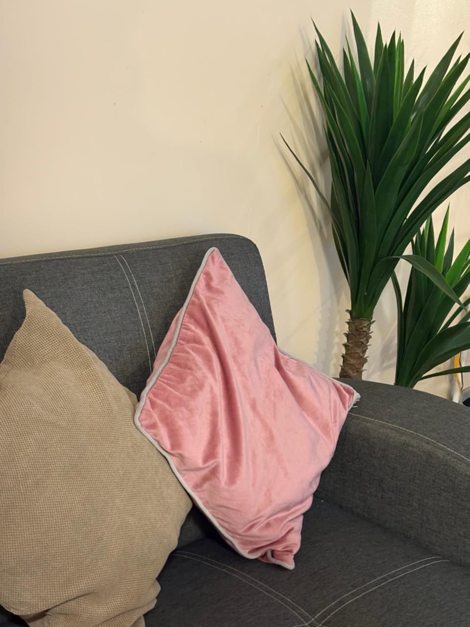 Aesthetic Studio at 38 Park Avenue IT Park Apartment hotel in Lapu-Lapu City