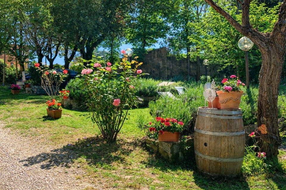 Garden, Garden view