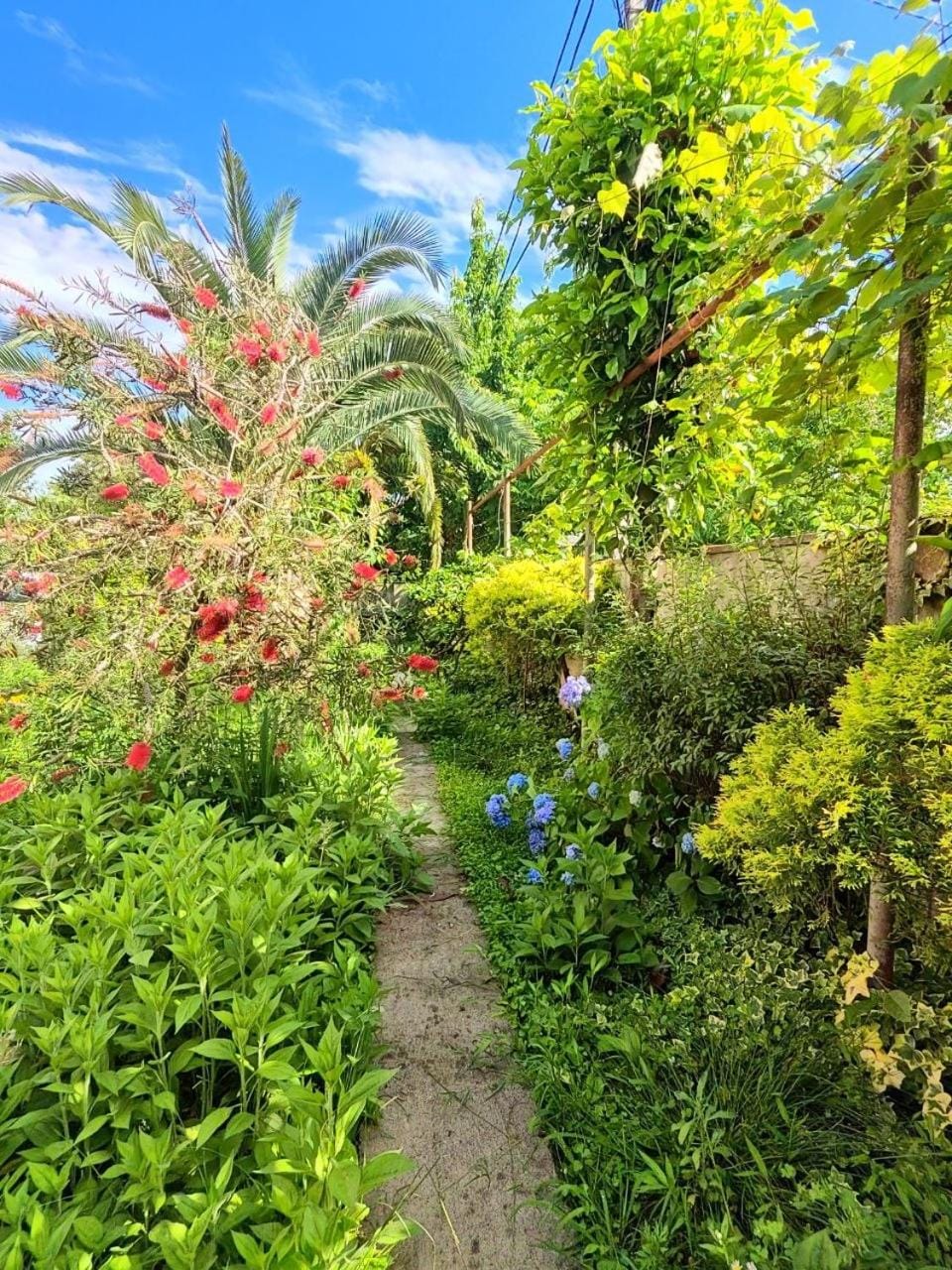 Villa Jakos Paradise Bed and Breakfast in Batumi