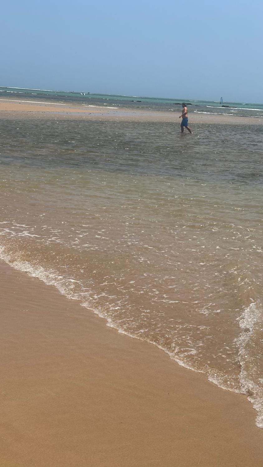 Luxo e Sossego a 300m da praia l! 6 quartos sendo 5 suítes no melhor cd de Praia do Forte House in State of Bahia