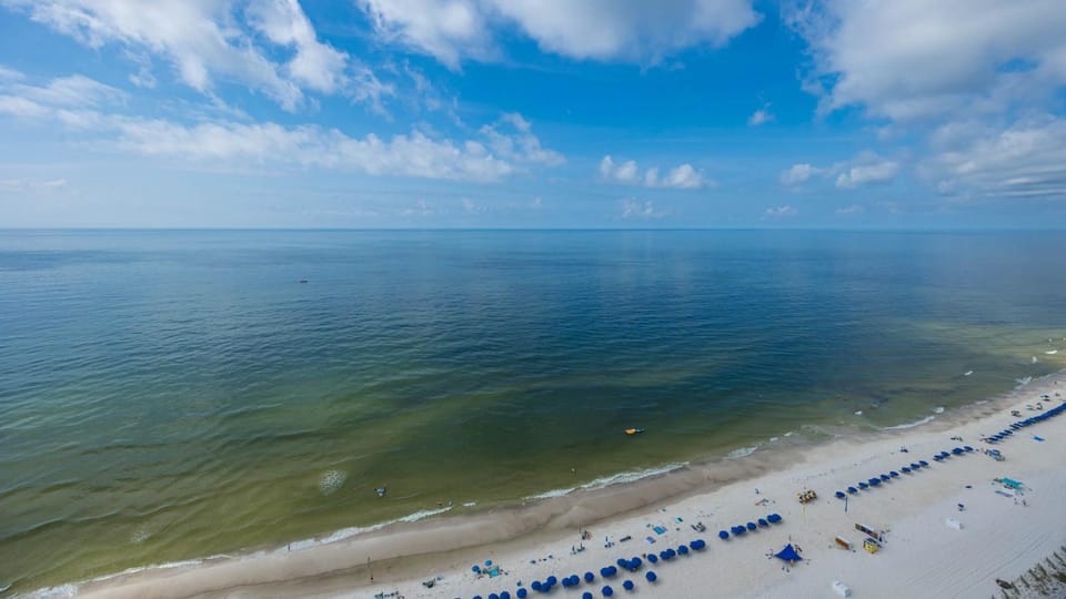 Phoenix Gulf Shores 2301 Apartment in West Beach