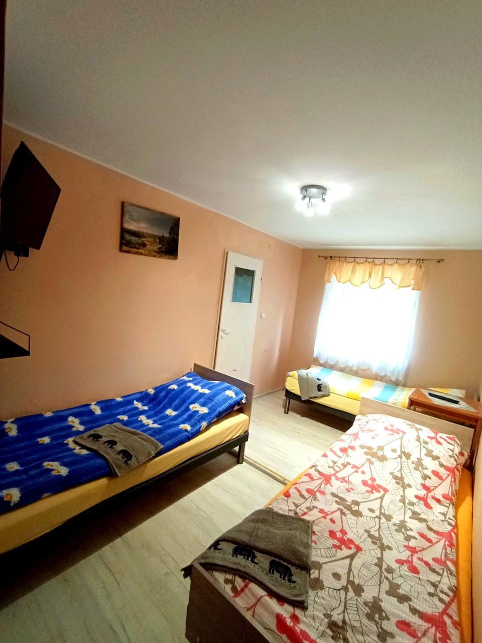 Property building, Bed, TV and multimedia, Photo of the whole room