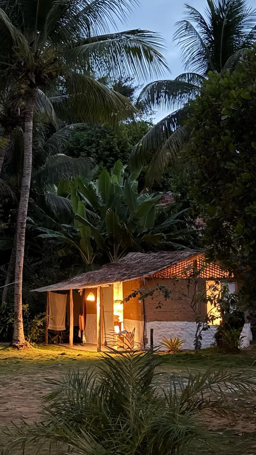 Night, Garden, Garden view