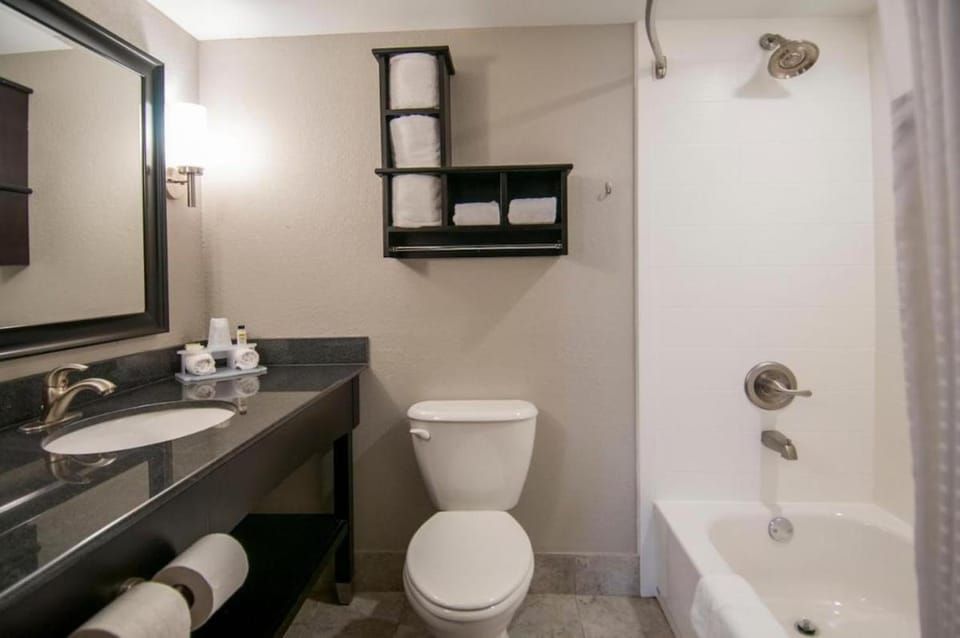 1BR 1B King Bed Apartment w Kitchen 234 Apartment in Jackson