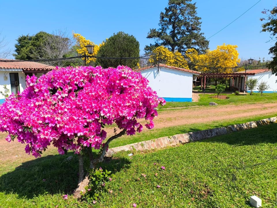 Paraiso Yapeyù Hotel in Corrientes Province, Argentina
