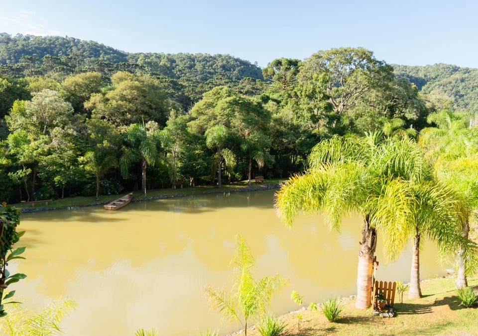 Lake view