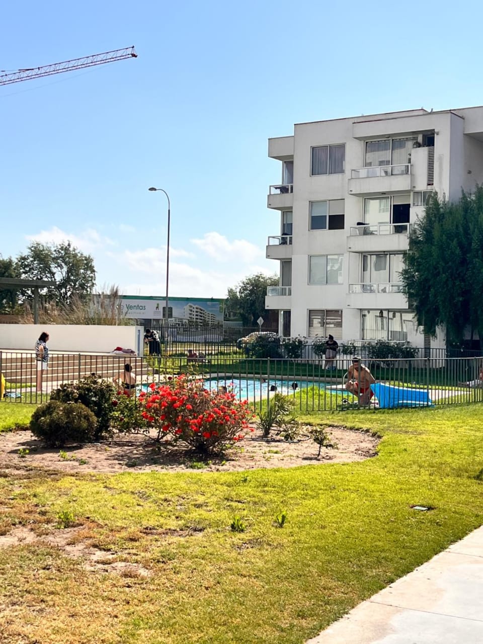 Swimming pool, Swimming pool