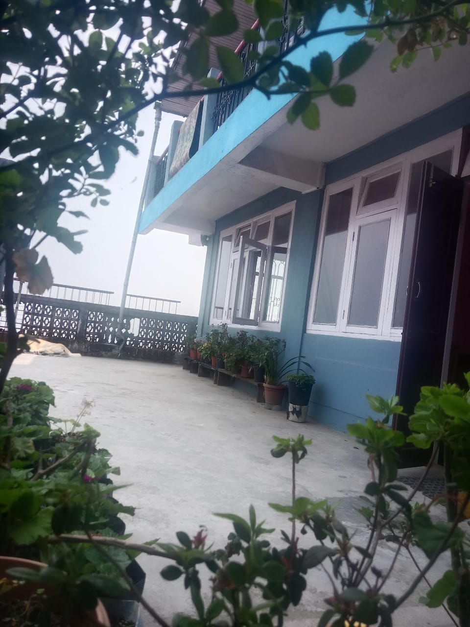 Bluemoon stay House in Darjeeling